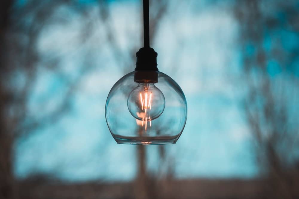 Single Bulb in focus Single Bulb in focus